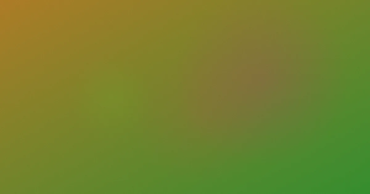 凤间由美推荐：新手对比指南